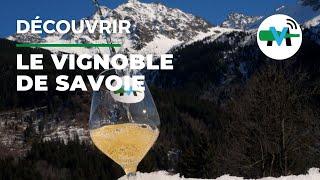 À la découverte du vignoble de la Savoie