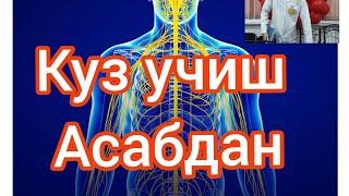 Куз учиш Асабдан