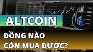 HIỆN TẠI MUA ĐƯỢC COIN NÀO - ALTCOIN CÒN SÓNG HAY ĐÃ HẾT / TIPS CRYPTO