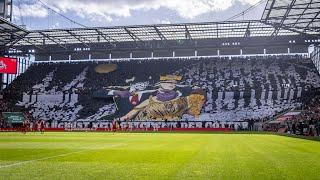 Choreo Köln-Fans im derby gegen Düsseldorf |1. FC Köln - Fortuna Düsseldorf