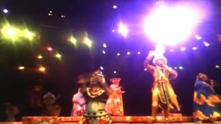 Lion king show