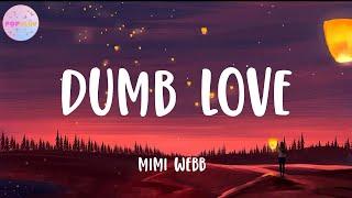 Mimi Webb - Dumb Love (Lyrics)