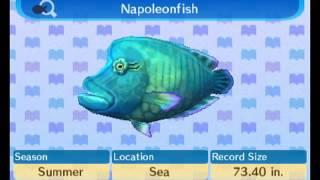 Animal Crossing New Leaf - 100% Fish Encyclopedia Complete