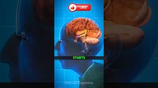 How does stress happen and why?#shorts #science #3danimation
