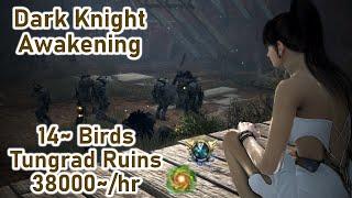 BDO | Tungrad Ruins | Dark Knight Awakening | 38000~/hr (Lv2) (14~ Events)