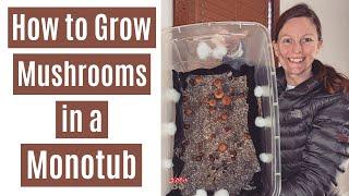 How to Grow Mushrooms in a Monotub