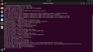 How to install Redis on Ubuntu 24.04