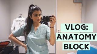 MEDICAL SCHOOL VLOG #2: Anatomy