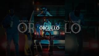 Orgullo Remaster (Prod. Yoandre) Preview - Anuel AA Ft. Arcangel, Gigolo & La Exe