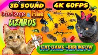 CAT GAMES BiBi TV | Ultimate Cat TV Compilation SPECIAL VOLUME #112 | 3 HOURS | Game On Screen