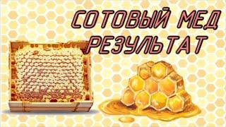 Как получить сотовый мед?Панский сот.Секционный сотовые мед. 3 недели спустя. Результат эксперимента