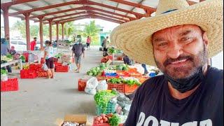 My 1st Visit to a Farmers Market / [Corozal Town Belize]