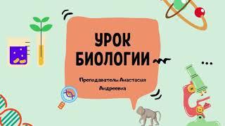 6 урок 5 класс. Царства живой природы