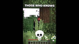 Proboiz Scary Moment in Minecraft