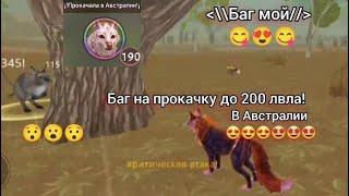  Мой Новый Баг на прокачку в Новой Локации! || придумала сама|| WildCraft