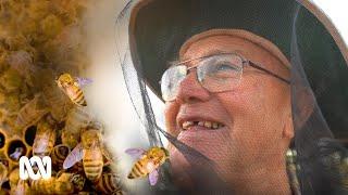 'Tractor' Ferguson could be the Queensland outback’s last beekeeper  | ABC Australia