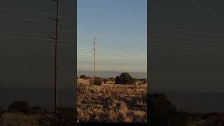 1/2 Acre Lots in Rio Rancho, NM! Near the solar farms! #riorancho #newmexico #landforsale
