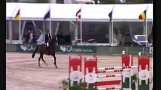 Winnetou `Sporthorses from Holland` FOR SALE peter bulthuis