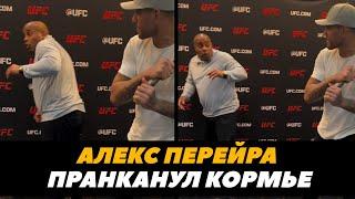 Алекс Перейра издевается над Кормье / Перейра - Прохазка | FightSpaceMMA