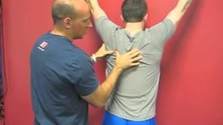 EricCressey.com: Avoid this Wall Slide Mistake