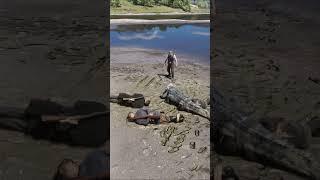 Great survival skills v159 | #shorts #shortsfeed
