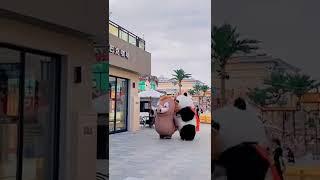 Cute panda video 2022 #shorts #shortvideo #cute #panda #fyp #video #funny #tiktok