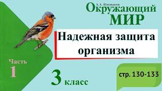 Надежная защита организма. Окружающий мир. 3 класс, 1 часть. Учебник А. Плешаков стр. 130-133