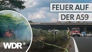 Autobahn-Brand durch Trockenheit: Große Fläche Gebüsch in Flammen | S08/E05 | Feuer & Flamme | WDR