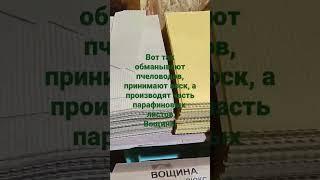 обман на вощине, парафин вместо воска, #обман #воск #пчеловодов грабят #где правда