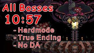 Vagante speedrun All Bosses 10:57 / Hardmode, Wildling, True Ending, No DA