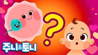 아기는 어떻게 태어날까? | 인체송 | 어린이 교육 | 인체동요 | 주니토니 by 키즈캐슬