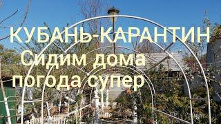 Домашний влог/Свой дом на юге/Доброе утро Кубани/Переезд в Краснодар