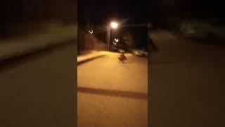 çorumdaki beyaz çoraplı dans Eden adam!!