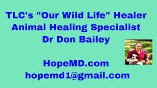 On TLC's "Our Wild Life" Tonight! Dr. Don Bailey Animal Healing Specialist.