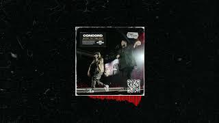 Eminem x Jelly roll x Yelawolf type beat | Country guitar rap beat 2025 -Concord (prod. Bitodelnya)