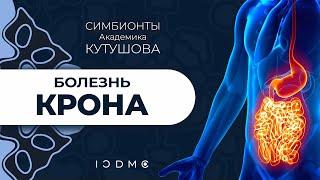 Симбионты Кутушова при болезни Крона ICDMC