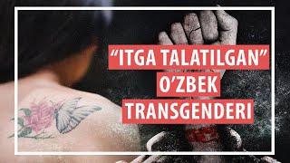 O'zbek translar: bizni odam sifatida ko'rishmaydi