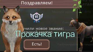 Прокачала Тигра 190 Ур, и получила новый ранг в WildCraft!