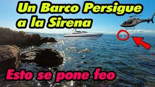 Grabo el CANTO de 2 SIRENAS 2021 Parte 174