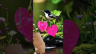 nature is a beautiful part of world #ytshorts #youtube #peaceful place in world
