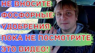 Фосфорные удобрения. Как правильно вносить в почву фосфорные минеральные удобрения.