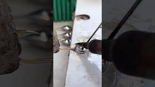 World's Strongest Fishing Hook