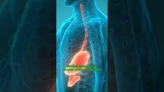 1 Food a Day for a Stronger Immune System – Day 1: Garlic 