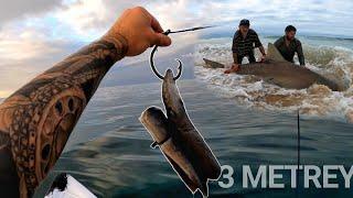 A Land Based Shark Fishing Video - Dad Catches A GIANT