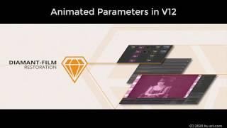 Animated Parameters in DIAMANT-Film Restoration - Part 1