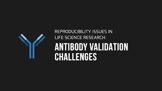 Reproducibility Issues in Life Science Research Documentary: Antibody Validation Challenges