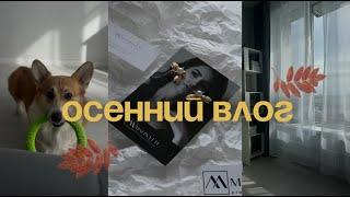 осенний мини-влог как мне аналог дайсона