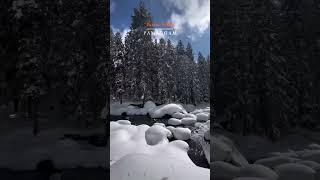 BETAB VALLEY PAHALGAM KASHMIR