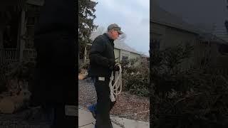 Pulling Wind blown Spruce Spar off of Roof. #arborist