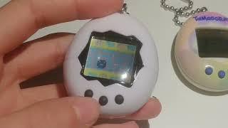 How to take care of a Tamagotchi!